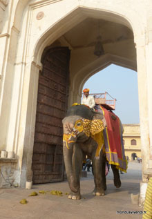 Amber fort- India